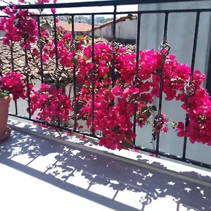 Casa Magnolia Boutique Kusadası